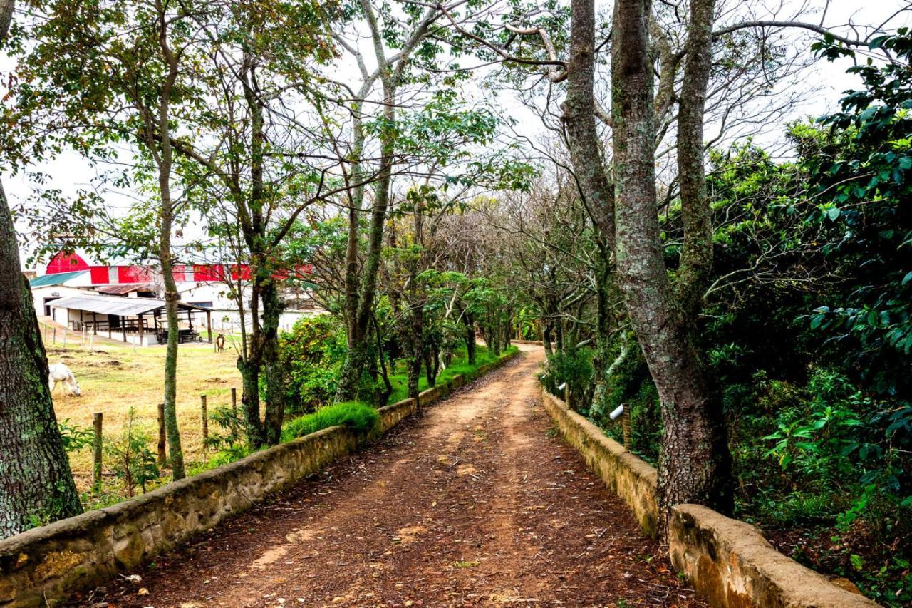 Hotel Fazenda Colina Dos Sonhos 索科罗 外观 照片
